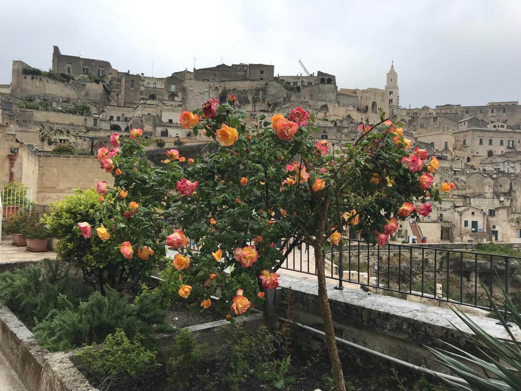 La Corte Dei Pastori Matera Zewnętrze zdjęcie